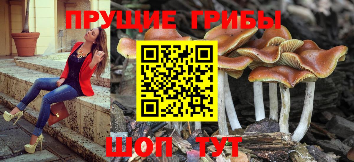 Салехард  Галлюциногенные грибы MAGIC MUSHROOMS  Вход с VPN 